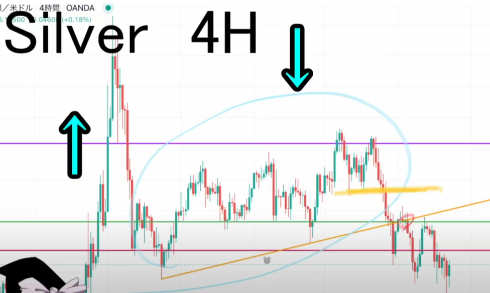 【ハイトレFX億トレーダーへの道さんに学ぶ】リアルトレード実況：第45話「シルバー」│まとめ
