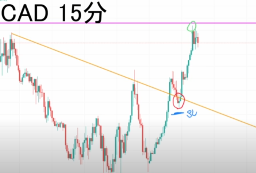 【ハイトレFX億トレーダーへの道さんに学ぶ】リアルトレード実況：第49話「ドルカナダ」ダブルボトム│まとめ